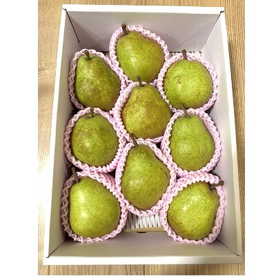西洋梨(ラ・フランス)3kg　贈答用　0142-2610
