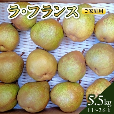 西洋梨(ラ・フランス)5.5kg　ご家庭用　0142-2613
