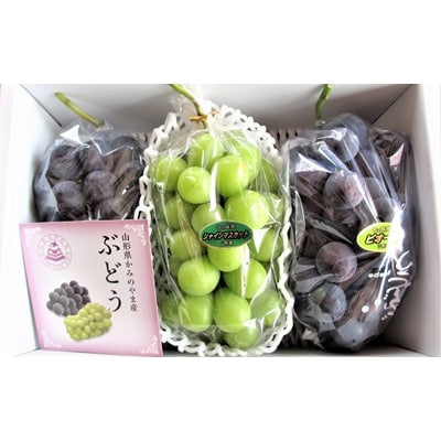 ピオーネとシャインマスカットの詰合せ　2～3房　0010-2601