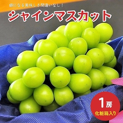 ぶどう(シャインマスカット)1房 化粧箱入り 0010-2602