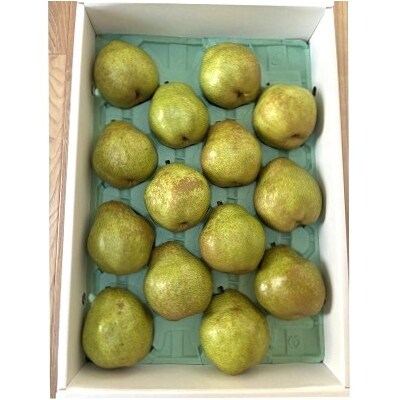 西洋梨(ラ・フランス)5kg　贈答用　0142-2612