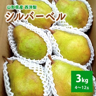 西洋梨(シルバーベル)3kg　贈答用　0142-2616
