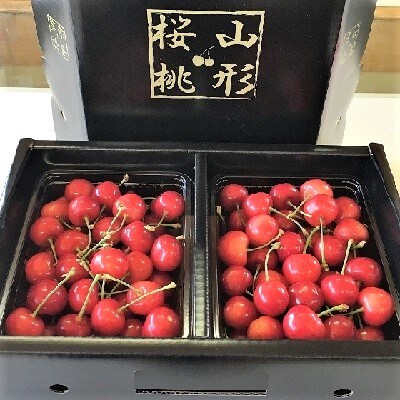 さくらんぼ(佐藤錦)1kg　0066-2502