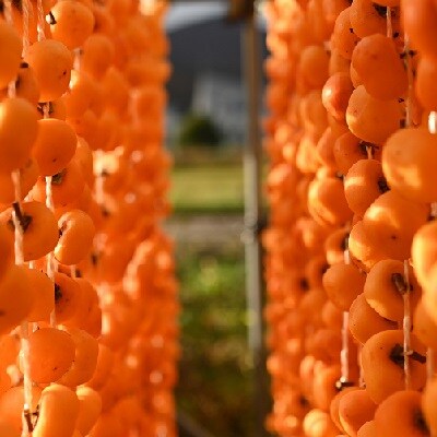 紅干し柿　32果　Lサイズ　0066-2603