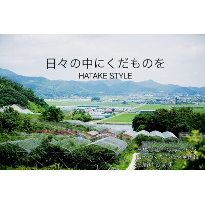 さくらんぼ(佐藤錦)1kg ご家庭用 0003-2202