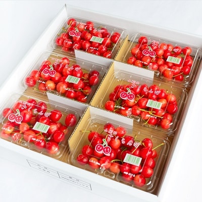 さくらんぼ(佐藤錦)1.2kg　ご家庭用　0052-2403 | ふるさと納税のお礼品