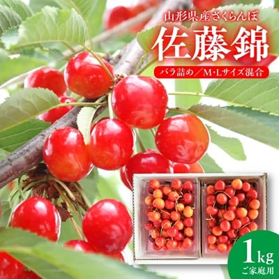 さくらんぼ(佐藤錦)1kg　ご家庭用　0020-2606