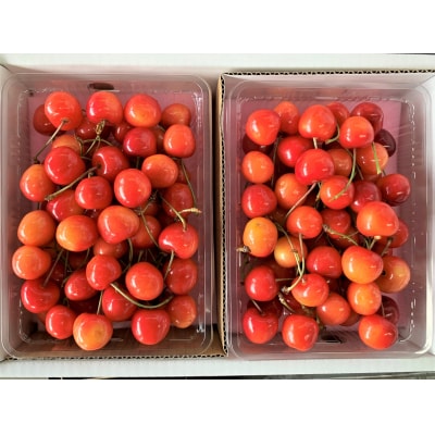 さくらんぼ(佐藤錦)1kg　ご家庭用　0020-2606