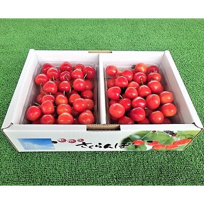 さくらんぼ(佐藤錦か紅秀峰)1kg　2Lサイズ　0032-2502