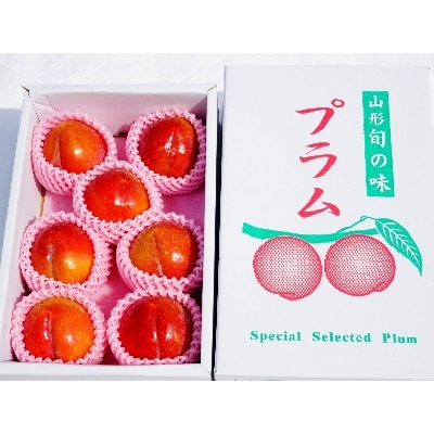 すもも(秋姫)1.2kg　ご家庭用　0012-2506