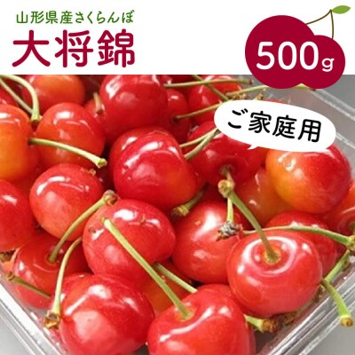 さくらんぼ(大将錦)500g ご家庭用 0075-2302