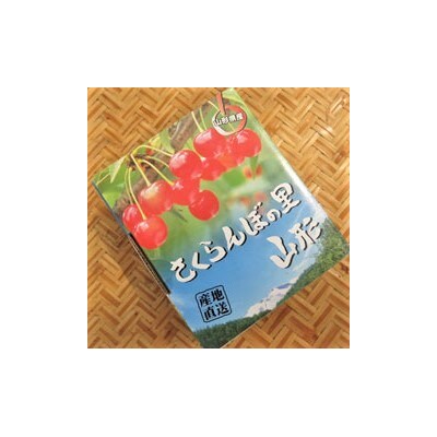 さくらんぼ(大将錦)500g ご家庭用 0075-2302