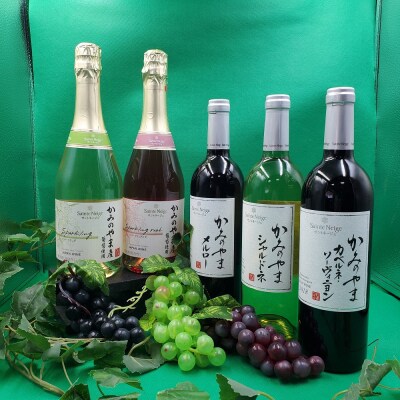 【定期便:全5回】サントネージュかみのやまシリーズ　0141-2319