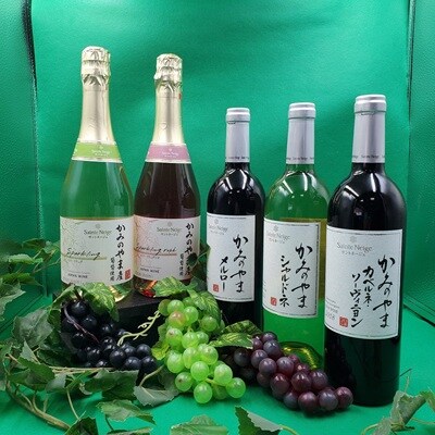 【定期便:全5回】サントネージュかみのやまシリーズ　0141-2420