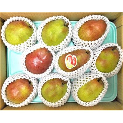 西洋梨(カリフォルニア)3kg　ご家庭用　0017-2614