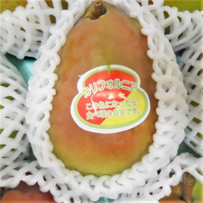 西洋梨(カリフォルニア)3kg　ご家庭用　0017-2515