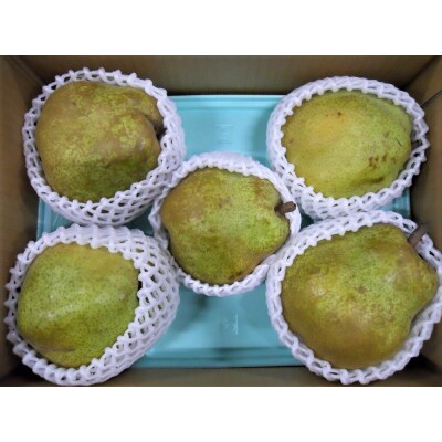 西洋梨(ラ・フランス)　3kg　大玉　ご家庭用　0017-2318 | ふるさと納税のお礼品