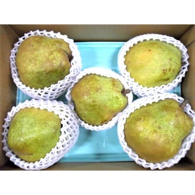ラフランス 3kg 大玉 ご家庭用 5玉~7玉 7L~5L 西洋梨 ラ・フランス 0017-2616