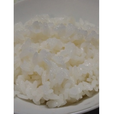 令和7年産　はえぬき(精米)5kg　0030-2515