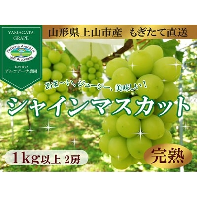 【樹上完熟】シャインマスカット　1kg(もぎたて直送)　0148-2614