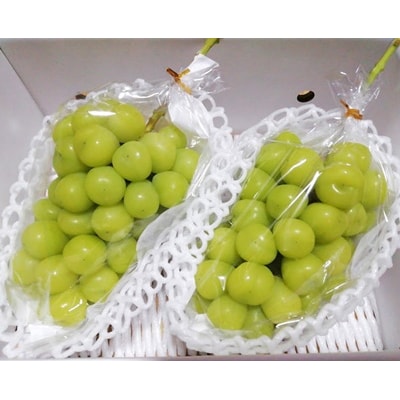 【樹上完熟】シャインマスカット　1kg(もぎたて直送)　0148-2614