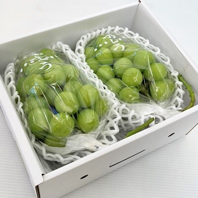 ぶどう(シャインマスカット)1.2kg　0009-2606