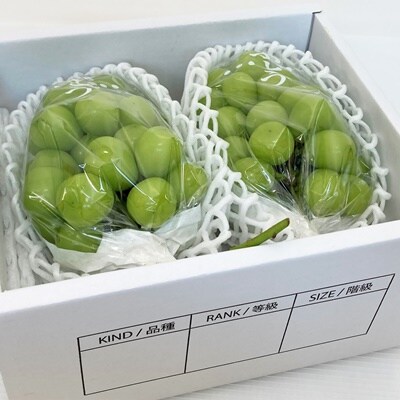 ぶどう(シャインマスカット)1.4kg　0009-2607