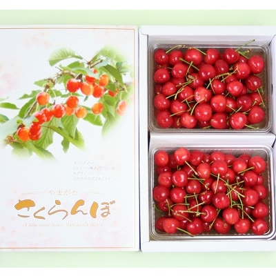 さくらんぼ(佐藤錦)1kg　0021-2602