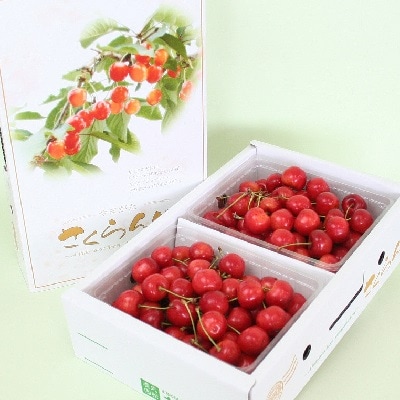 さくらんぼ(紅秀峰)1kg　0021-2604