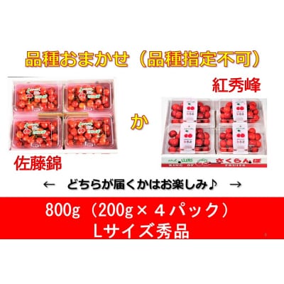 さくらんぼ(佐藤錦か紅秀峰)Lサイズ　秀品　800g(200g×4パック)　0020-2402