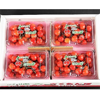 さくらんぼ(佐藤錦か紅秀峰)800g(200g×4パック)　Lサイズ　秀品　0020-2505