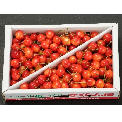 さくらんぼ(佐藤錦か紅秀峰)1kg　バラ詰め　0020-2304 | ふるさと納税のお礼品