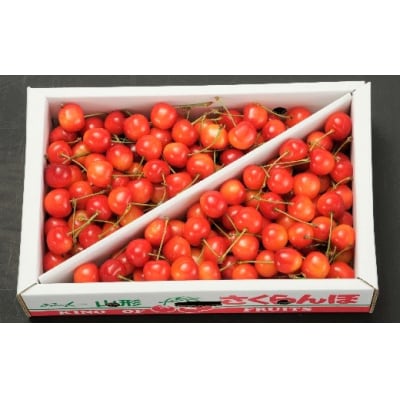 さくらんぼ(佐藤錦か紅秀峰)1kg　Lサイズ　バラ詰め　0020-2609