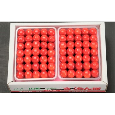 さくらんぼ(佐藤錦か紅秀峰)500g×2パック　手詰め　0020-2508