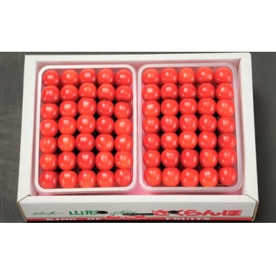 さくらんぼ(佐藤錦か紅秀峰)500g×2パック　手詰め　0020-2610