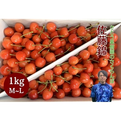 さくらんぼ(佐藤錦)1kg　ご家庭用　0136-2602