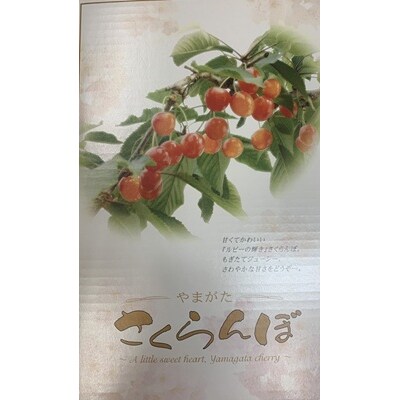 さくらんぼ(佐藤錦)1kg　ご家庭用　0136-2602
