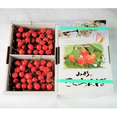 さくらんぼ(佐藤錦)700g(350g×2パック)　秀品　L玉以上　0012-2502