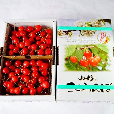さくらんぼ(佐藤錦)1kg(500g×2パック)　秀品　L玉以上　0012-2503