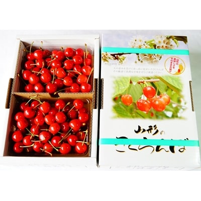 さくらんぼ(佐藤錦)1kg(500g×2パック)　特秀品　L玉以上　0012-2609