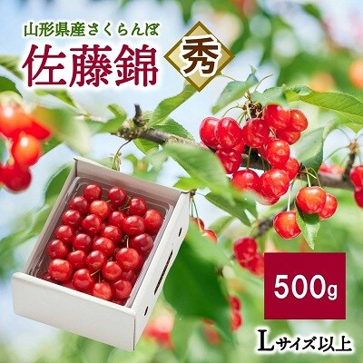 さくらんぼ(佐藤錦)500g　0052-2501