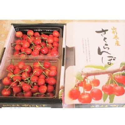 さくらんぼ(佐藤錦)800g　0025-2603