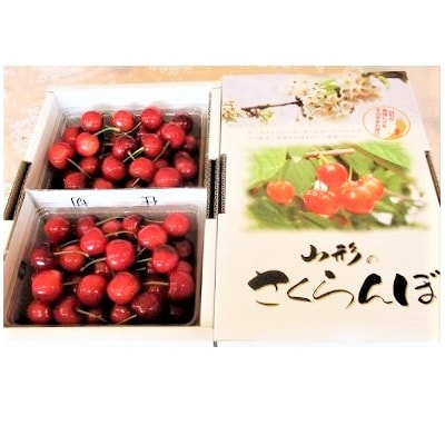 さくらんぼ(紅秀峰)800g　0025-2604