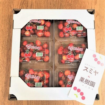 さくらんぼ(紅秀峰)1.2kg　ご家庭用　0047-2508