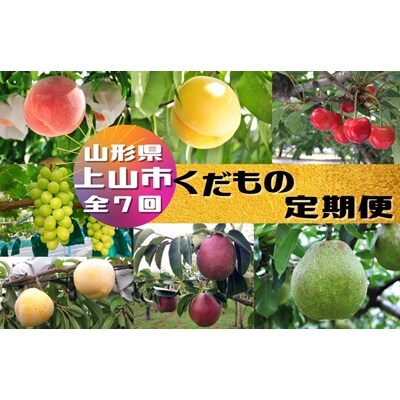 【定期便:全7回】くだもの定期便　0047-2601