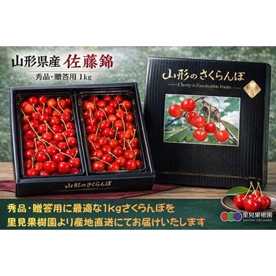 さくらんぼ(佐藤錦)1kg以上　L～2L　秀品以上　0079-2603