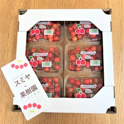 さくらんぼ(佐藤錦)1.2kg　ご家庭用　0047-2507