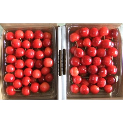 ()500g×2pbN@0112-2614