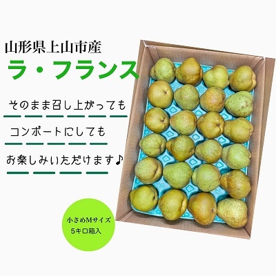 西洋梨(ラフランス)5kg　Mサイズ　ご家庭用　0055-2611