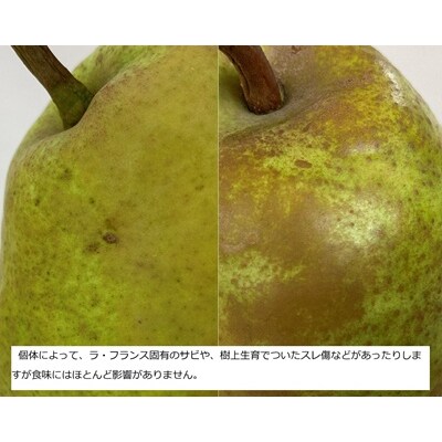 西洋梨(ラ・フランス)3.3kg　大玉　秀品　0009-2611
